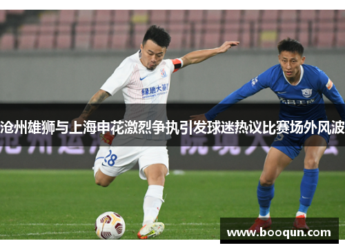 沧州雄狮与上海申花激烈争执引发球迷热议比赛场外风波